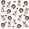 flat750x075f pad750x1000f8f8f8.u2 17 - Corgi Merch