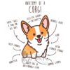 il 1000xN.4222014351 cyfl - Corgi Merch