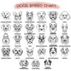il 1000xN.5690621853 l0g1 - Corgi Merch