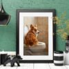 il 1000xN.6218234456 oxtf - Corgi Merch