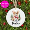 il 1000xN.6267268831 4b1t - Corgi Merch