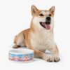 il 1000xN.6781973257 jjli - Corgi Merch
