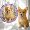 il 1000xN.6920584587 63af - Corgi Merch